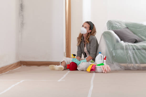 Reliable Mold Remediation contractor in Louisville, KY by Mold Remediation HQ